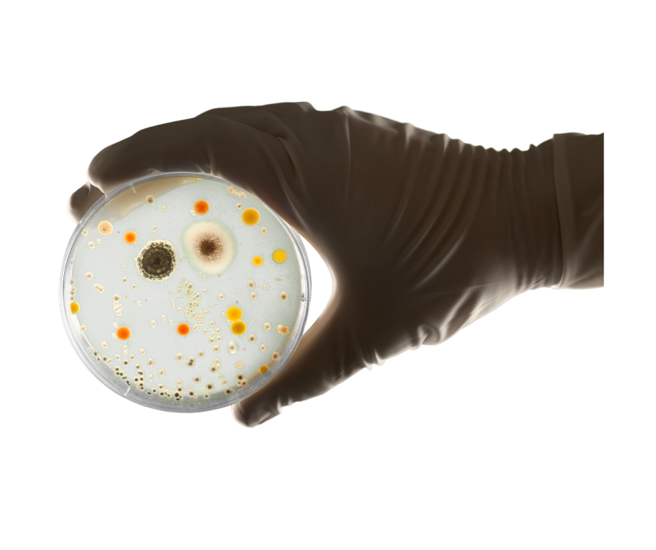 Does Natural Soap Kill Bacteria